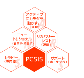 PCSIS